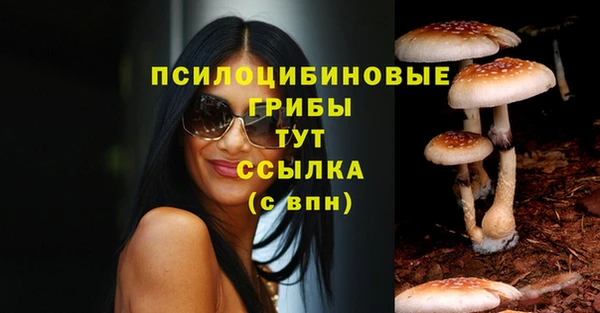 первитин Белокуриха