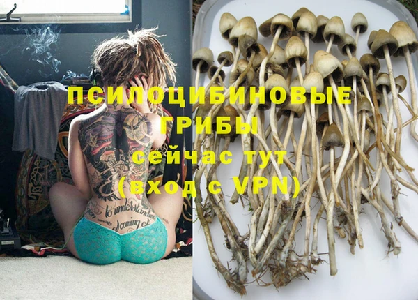 первитин Белокуриха