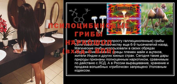 первитин Белокуриха