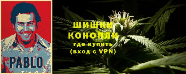 гашик Белоозёрский